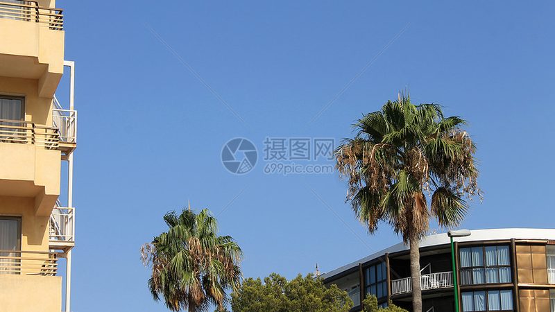 冬令营营地场地要求